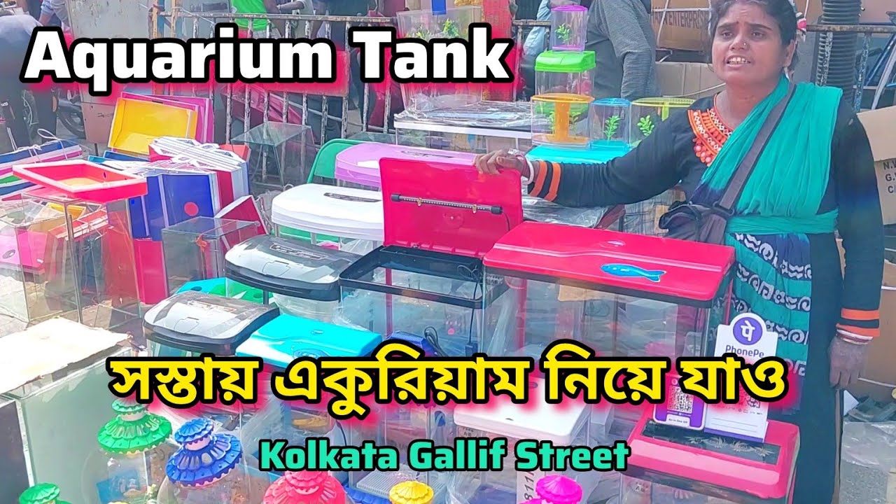Recent Aquarium Tank Price Update Gallif Street Fish Market Kolkata