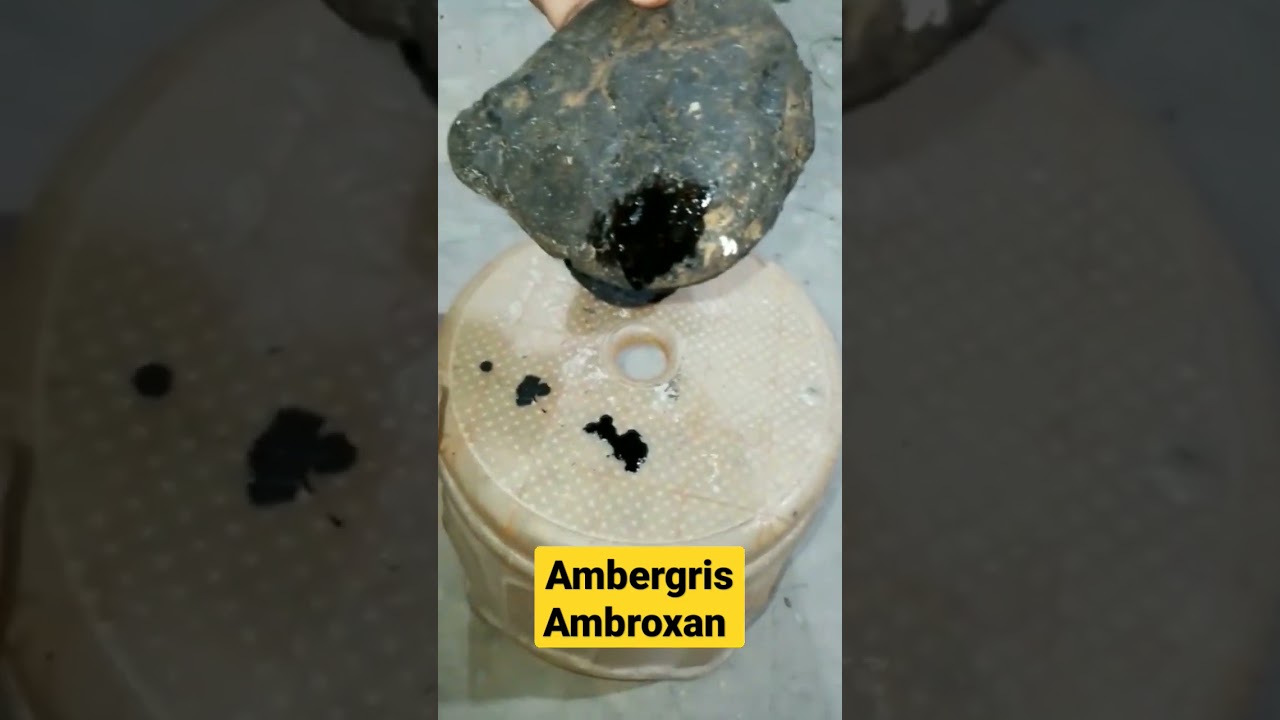 Ambergris Natural Ambroxan 