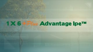 1 X 6 Plus Advantage Ipe™