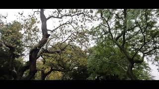 De Waal Park Oranjezicht