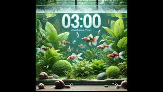 3 minute fish tank countdown timer no sound