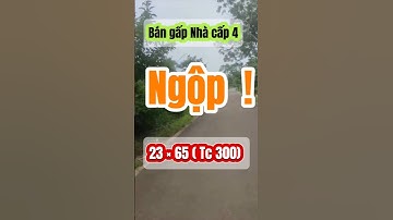 Đất Dầu Tiếng I Bán gấp nhà cấp 4 giá rẻ  23 × 65 ( Tc 300) #datgiare