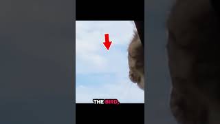 Ufo Or??? 👀👀👀👀 #paranormal #ufoキャッチャー #skywatcher