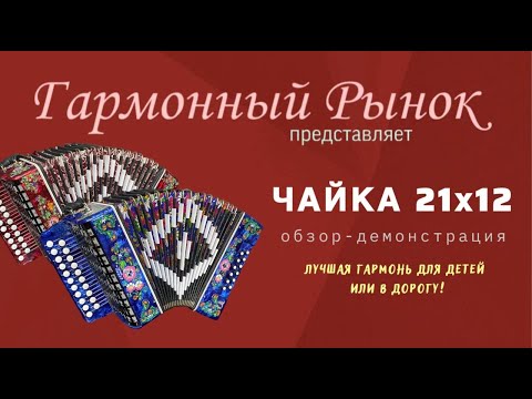 Buy the Chaika 21x12 accordion +7-908-82-55-53 WhatsApp#buyanaccordion #shuyaaccordion #accordion...