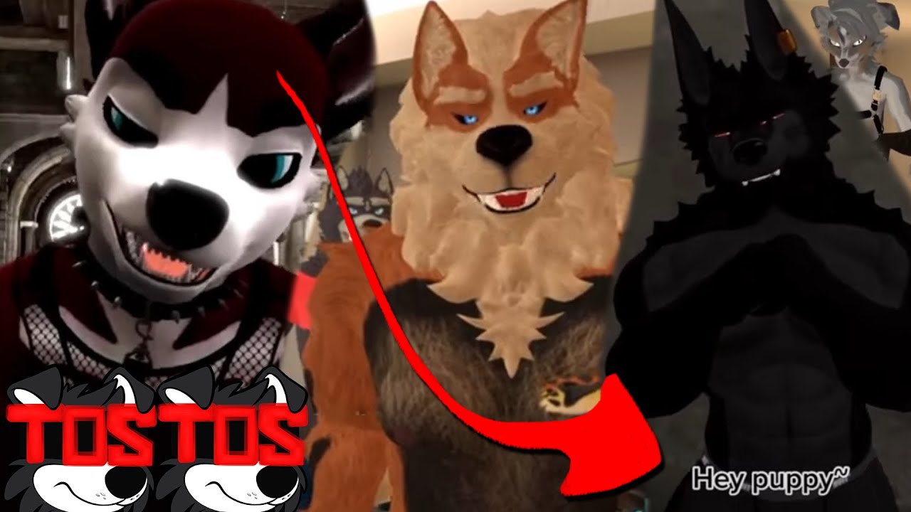 Furry Tiktoks that'll ring your New Years bell