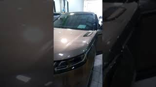 RANGE ROVER forward alert fault.