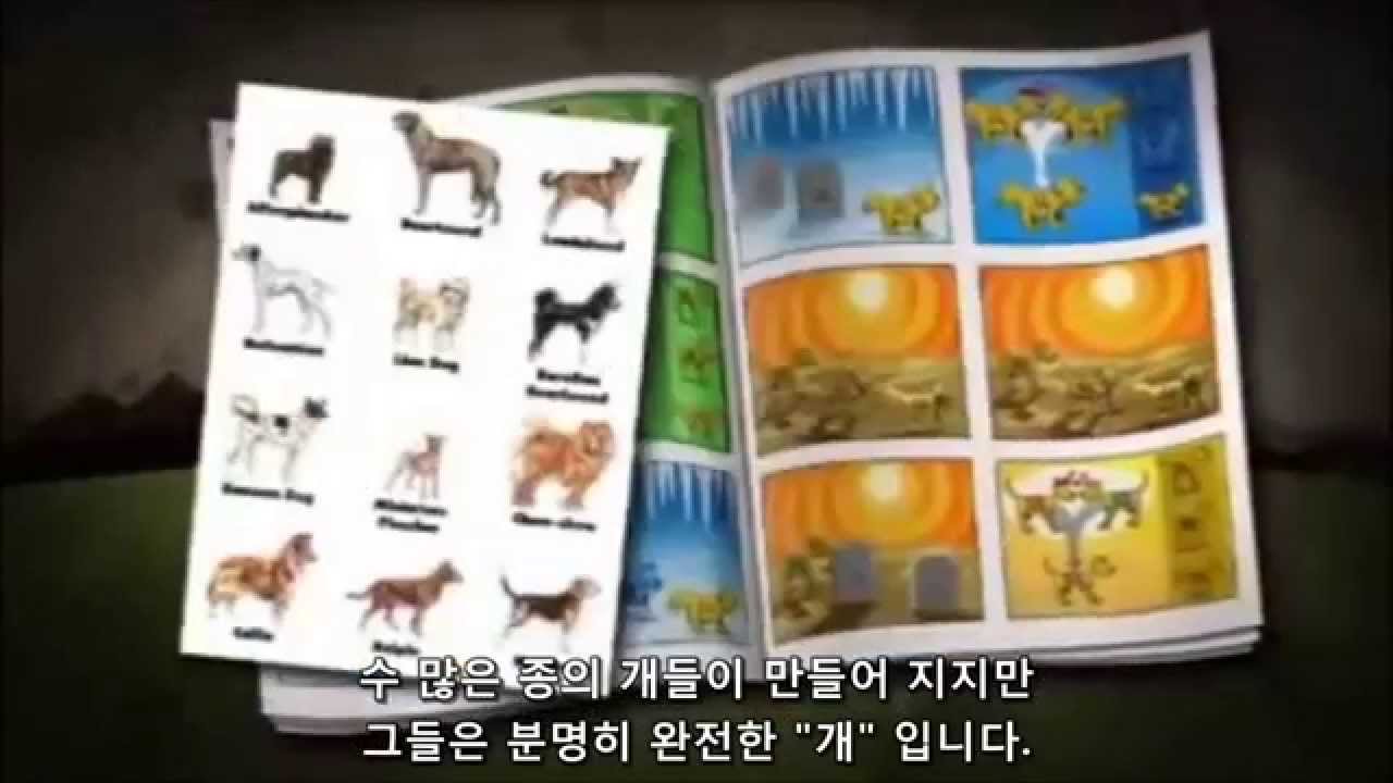 청소년들을 위해 쉽게 설명하는 창조와 진화 > 창의포럼 안내 | 제주대학교 창의교육거점센터