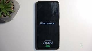 How to Hard Reset Via Settings on BLACKVIEW Color 8
