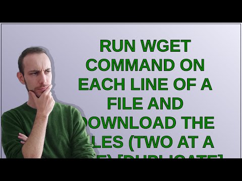 Unix: Run wget command on each line of a file and download the files (two at a time)