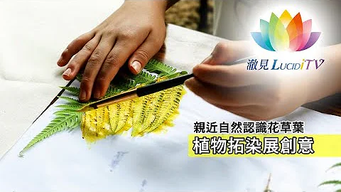 福智・教育《 親近自然・植物拓染展創意 》 - 天天要聞