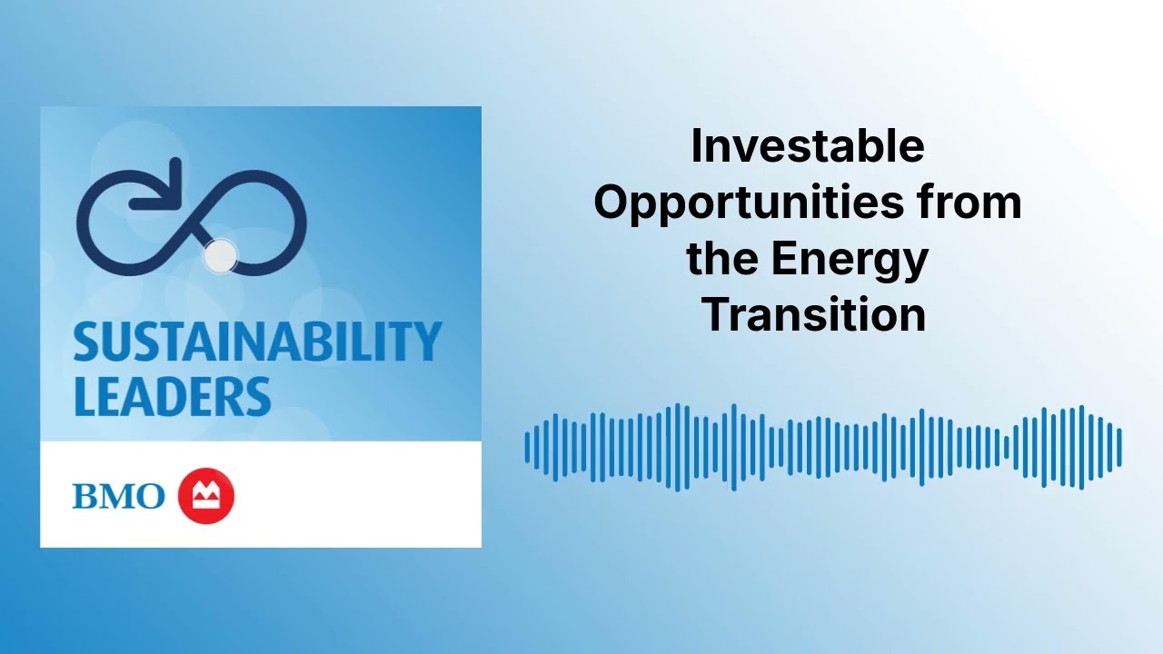 Investable Opportunities from the Energy Transition | Sustainability Leaders