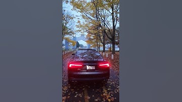 B9 S5 resonator and mid muffler delete #automobile #audi #car #cars