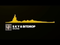 [Electro House] ~ S K Y &amp; Bitdrop - Solace