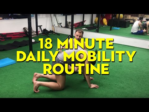Daily Mobility Routine with Controlled Articular Rotations (18 minutes)