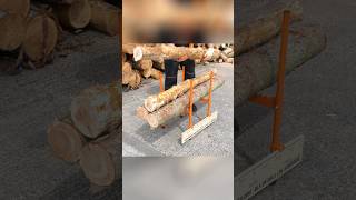 Forest Master BLS-2H: Step-by-Step Instructions #shorts #forestmaster #logging