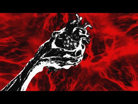 video 4