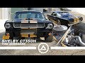 Tomy Drissi | Shelby GT350 Hertz Rent-a-Racer | Original Vintage Race Car Driven Hard