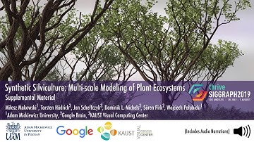 Synthetic Silviculture: Multi-scale Modeling of Plant Ecosystems (SIGGRAPH 2019)