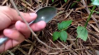 Creative spoon for cutting