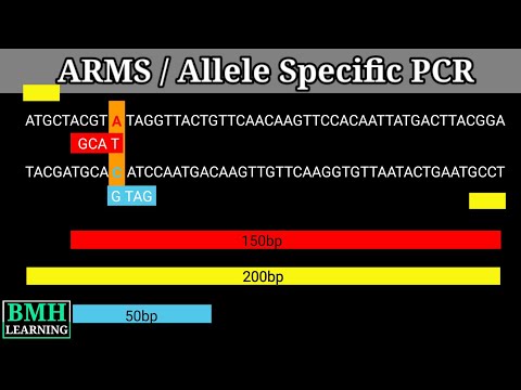 対立遺伝子特異的PCR| ARMS PCR |