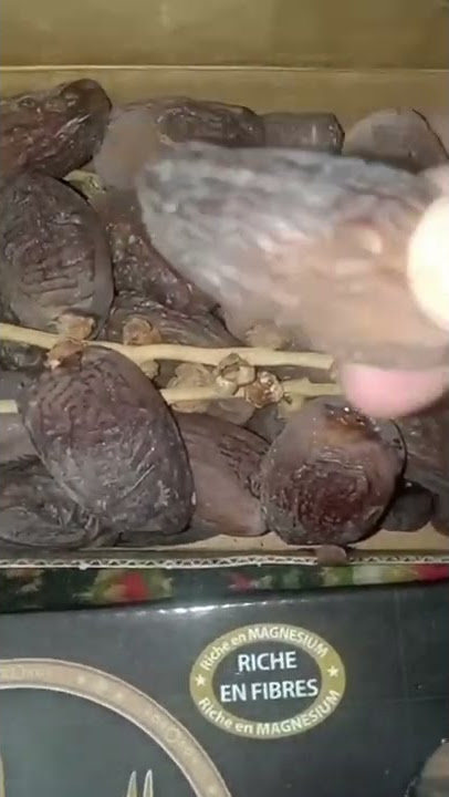 KURMA MANIS ||MANTUL