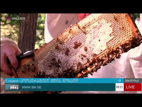 ENPARD - ის დაფინანსებული კოოპერატივი “მთის ნობათი”