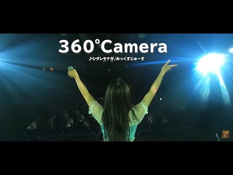 【360°Camera】シダレヤナギ / みっくすじゅーす（NMB48）