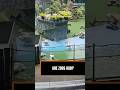 Are Zoos Actually Bad for Animals