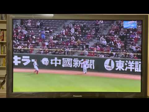 阪神、奇跡の引き分け