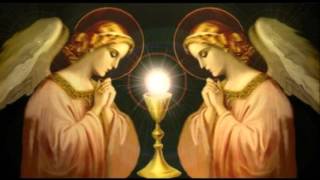 Miniatura del video "Canciones catolicas - Bendito, bendito sea Dios"