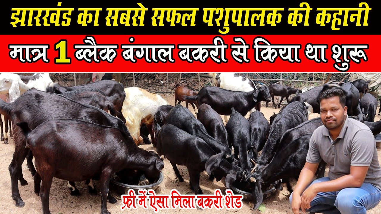 JHARKHAND के सबसे सफल पशुपालक की कहानी,एक 