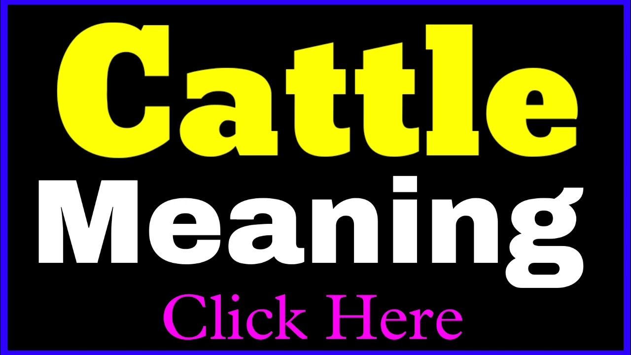 Cattle Meaning Cattle Means Cattle Meaning In Hindi Meaning Of cattle-meaning-cattle-means-cattle-meaning-in-hindi-meaning-of