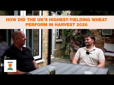 KWS Aintree: How Did the UK’s Highest-Yielding Wheat Perform in Harvest 2026