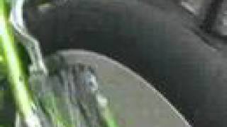 Insane Ripsticking