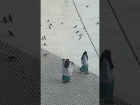 Makkah Vibes Real Beauty Of Makkah You Ve Never Seen Before Shorts 