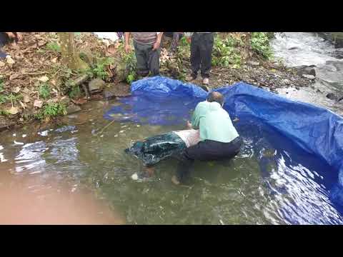 Ptr. Nelson Villarreal  bautismos rio Lavanda Bolivia