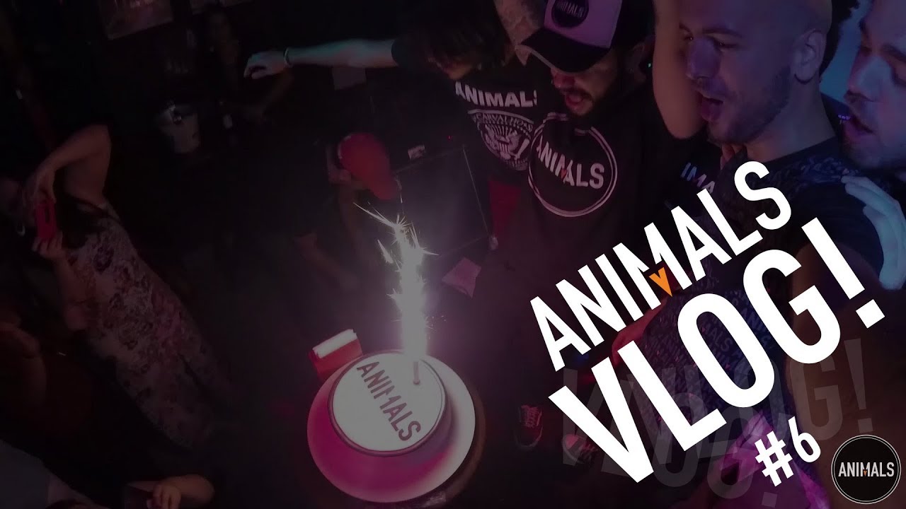 Vlog Animals #6 (JUN.2018)