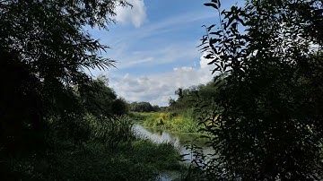 PANASONIC LUMIX S1 6K 24P video test