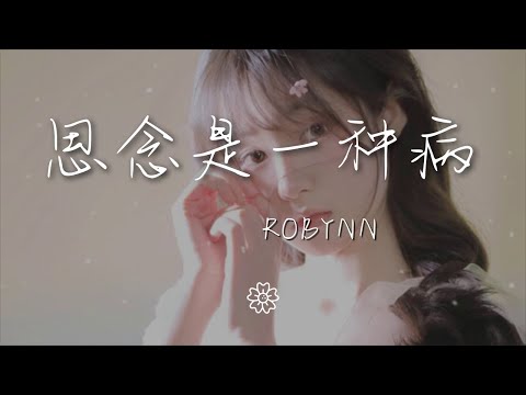 Robynn - 思念是一種病『當你在穿山越嶺的另一邊』【動態歌詞Lyrics】