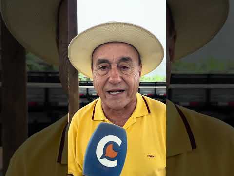 "Não adianta estar em uma mina de ouro e não explorar", diz Bocalom ao visitar maior bananal