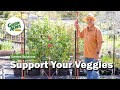 Support Your Veggies!