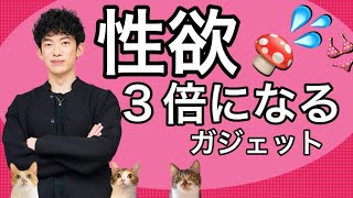 【性欲3倍】ほとばしるビンビンガジェット