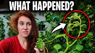 Your Plants Aren’t Sick… They’re Poisoned