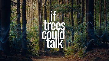 If Trees Could Talk - Part 2