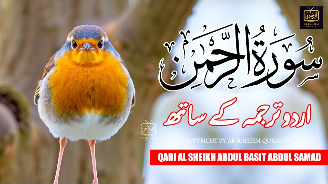 Surah Rahman With Urdu Translation By Qari Abdul Basit I Urdu And Hindi Tarjuma | Part 7