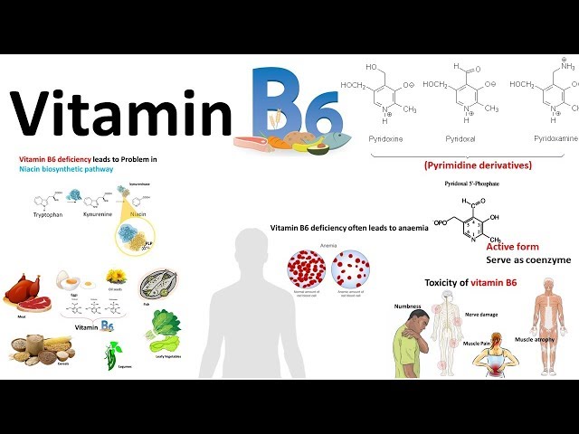 Vitamin B6 : structure,source and deficiency associated diseases class=