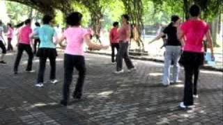 S.B.S. SHUFFLE BOOGIE -LINE DANCE.wmv