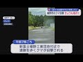 クマの目撃相次ぐ　午前だけで少なくとも6件　市は注意呼びかけ　静岡・裾野市