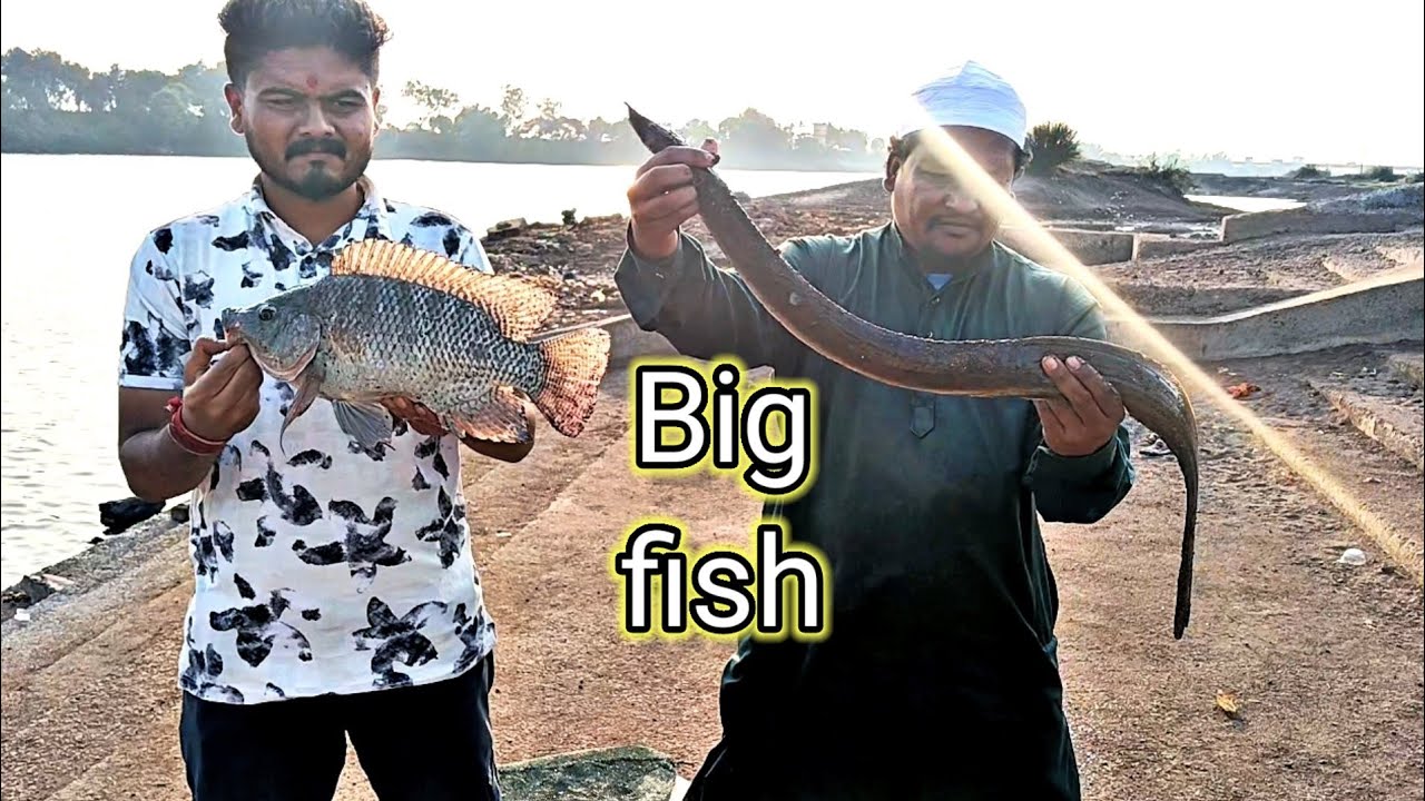 Big game monster fishing indian eel fish and big tilapia fishing video niw location fishing video