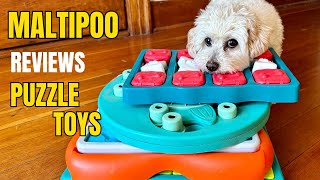 The best puzzle toys for Maltipoos and small dogs screenshot 1